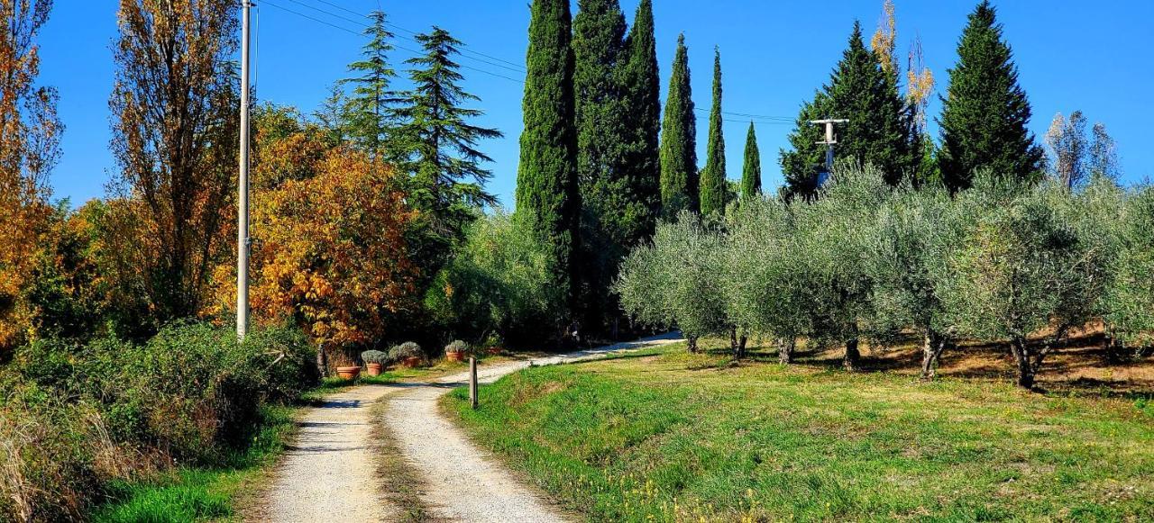 La Volpaia 1521 Villa Barberino di Val dʼElsa Exteriör bild