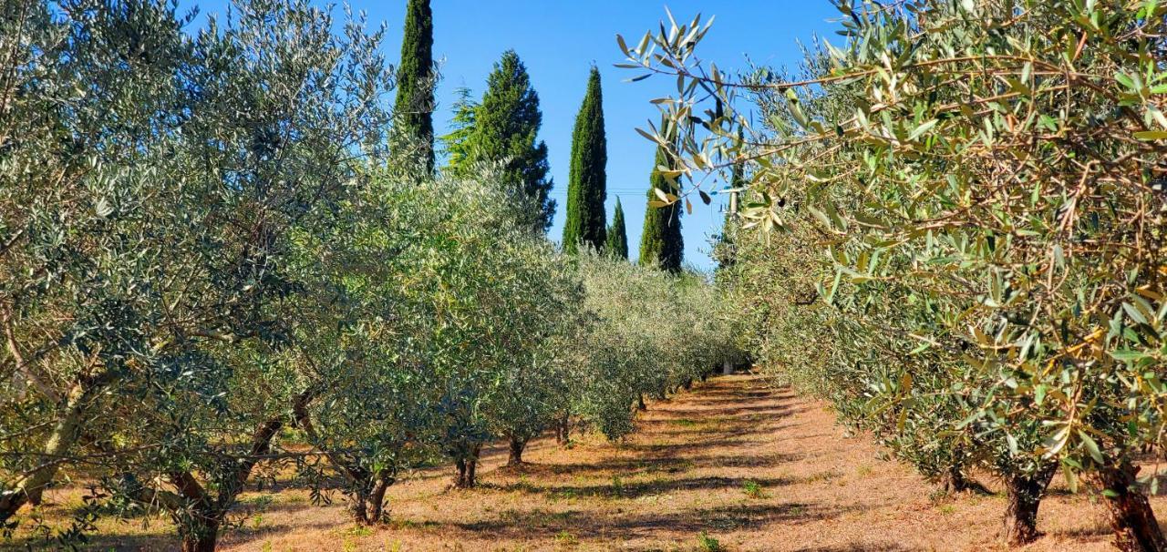 La Volpaia 1521 Villa Barberino di Val dʼElsa Exteriör bild